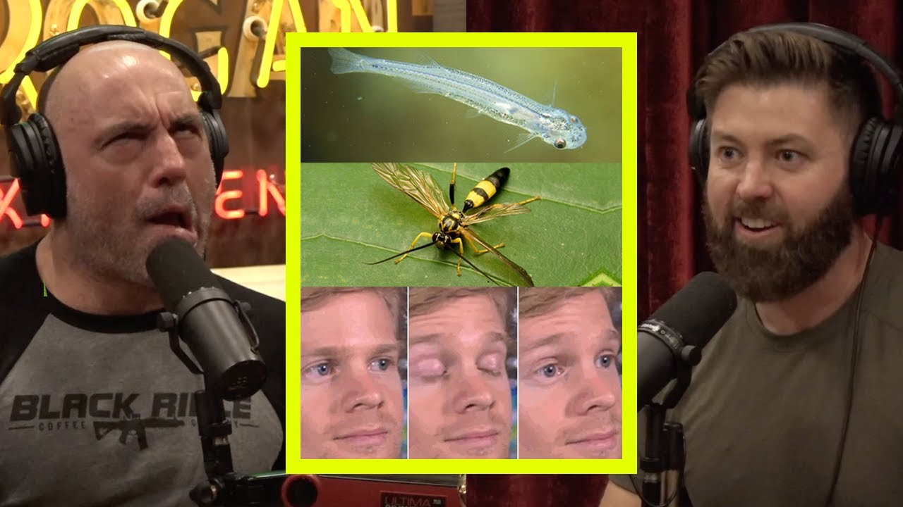 Man Gets STUNG By Wasp In HIS Private Area & The Candiru Which Swims UP Your Junk!