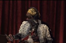 1733 - Snoop Dogg – The Joe Rogan Experience Video