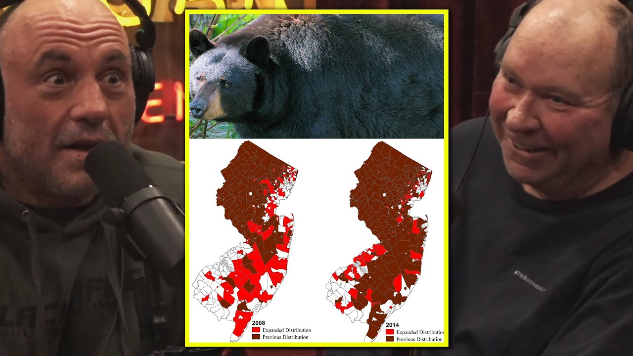 "LIFE & PROPERTY" The DANGERS of Black Bear Overpopulation