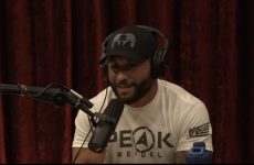 JRE MMA Show 113 with Chad Mendes
